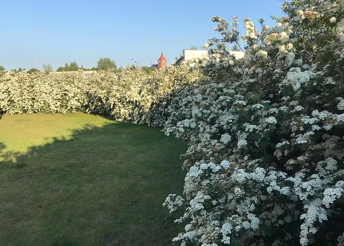 Nella Сasa de vacaciones *